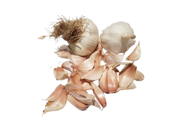 Cledor-ail-printemps