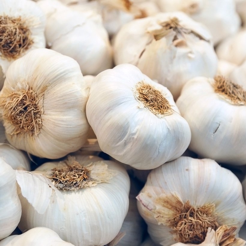 close up of garlic